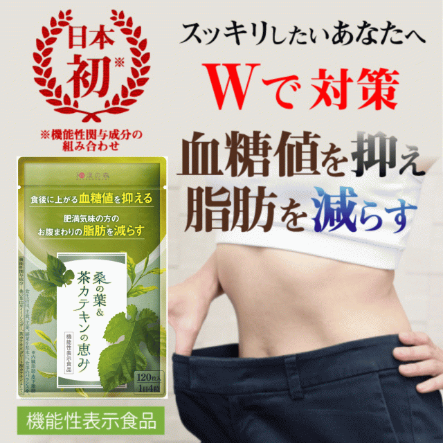 漢方セレクト 桑の葉&茶カテキンの恵み 120粒